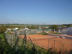 tennisanlage tc wendlingen